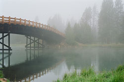 Bridge by Cheryl Robinson